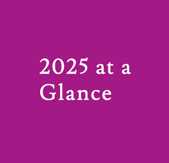 2025 at a Glance